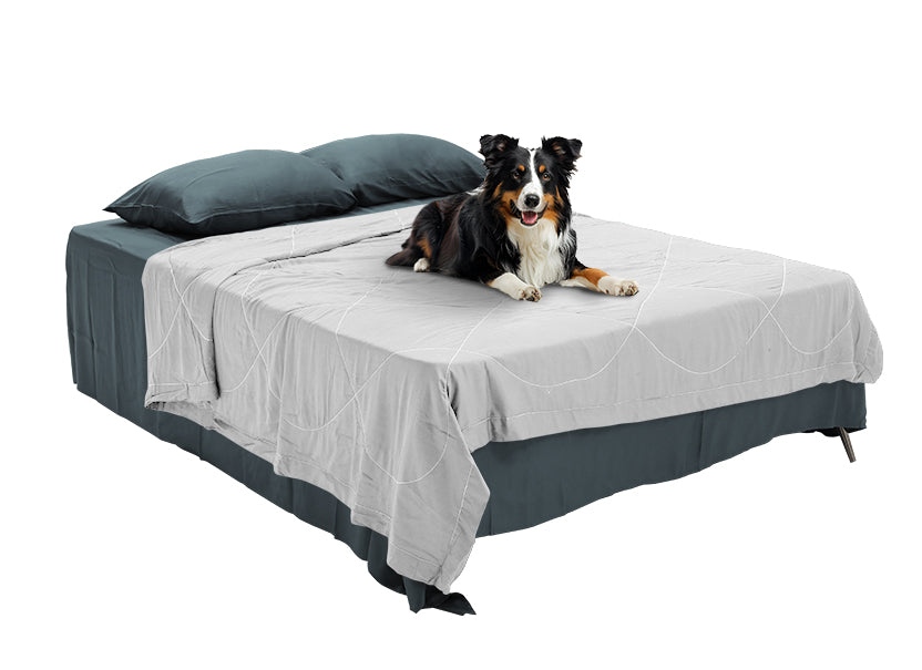 NUGGAL Pet Hair Repellent Cooling Comforter Silver Mist