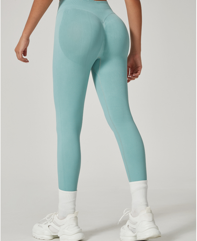 NUGGAL Pet Hair Resistant Body Sculpt Tech Leggings