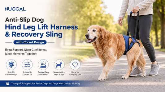 Give Them a Little Extra Support: Meet the NUGGAL Anti-Slip Dog Hind Leg Lift Harness