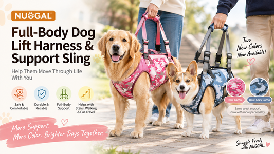 Two New Colors, More Personality: Meet the Latest NUGGAL Full-Body Dog Lift Harnesses 🐾