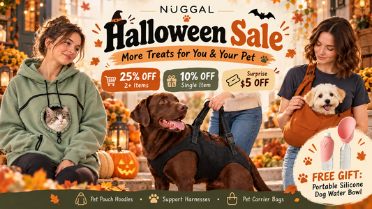 🎃 NUGGAL Halloween Sale Is Coming — More Treats, More Savings, More Time Together
