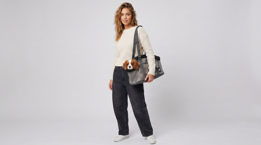 Beat the Heat: Why the Nuggal Breathable Mesh Tote is Your Pet’s Ultimate Summer Travel Companion