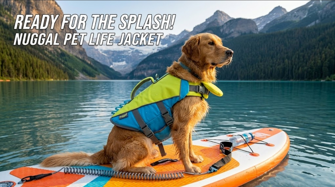 Ready for the Splash? Introducing the Nuggal Pet Life Jacket for Summer Fun!