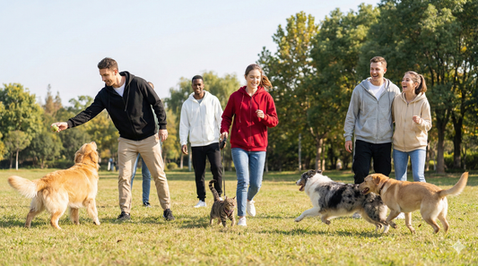 Meet the New Nuggal Winter Line: Sweatshirt, Hoodie & Our First Full‑Zip Hoodie