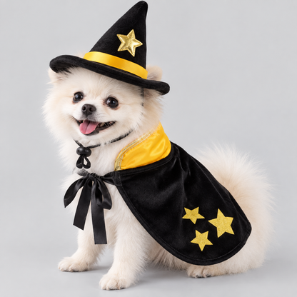 NUGGAL Halloween Witch Hat & Cape Costume for Dogs & Cats