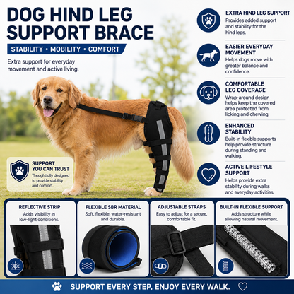 NUGGAL Premium Canine Rear Leg Brace with Reflective Straps & Anti-Slip Harness