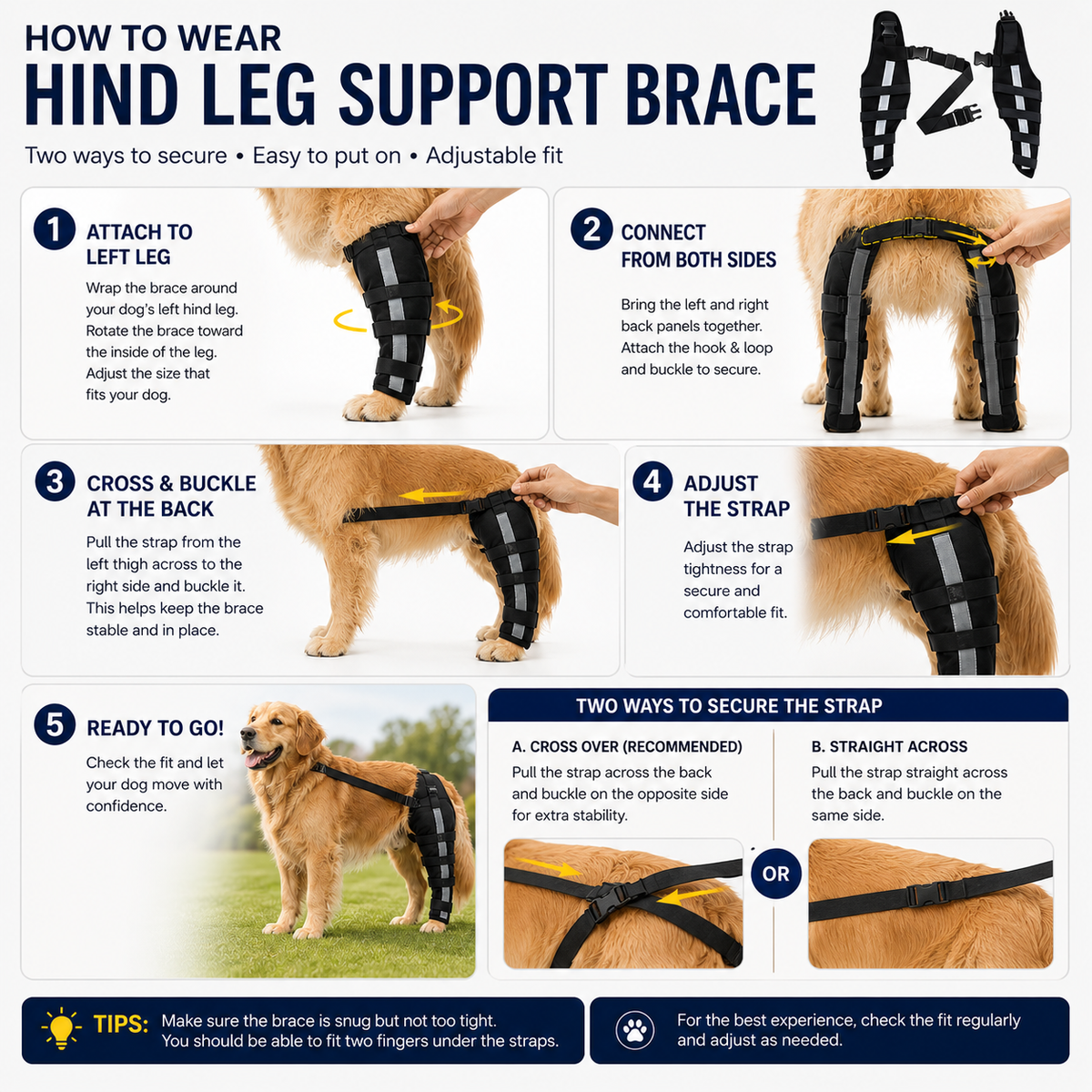 NUGGAL Premium Canine Rear Leg Brace with Reflective Straps & Anti-Slip Harness