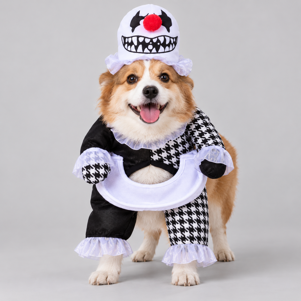 NUGGAL Halloween Scary Clown Pet Costume for Dogs & Cats