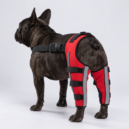 NUGGAL Premium Canine Rear Leg Brace with Reflective Straps & Anti-Slip Harness