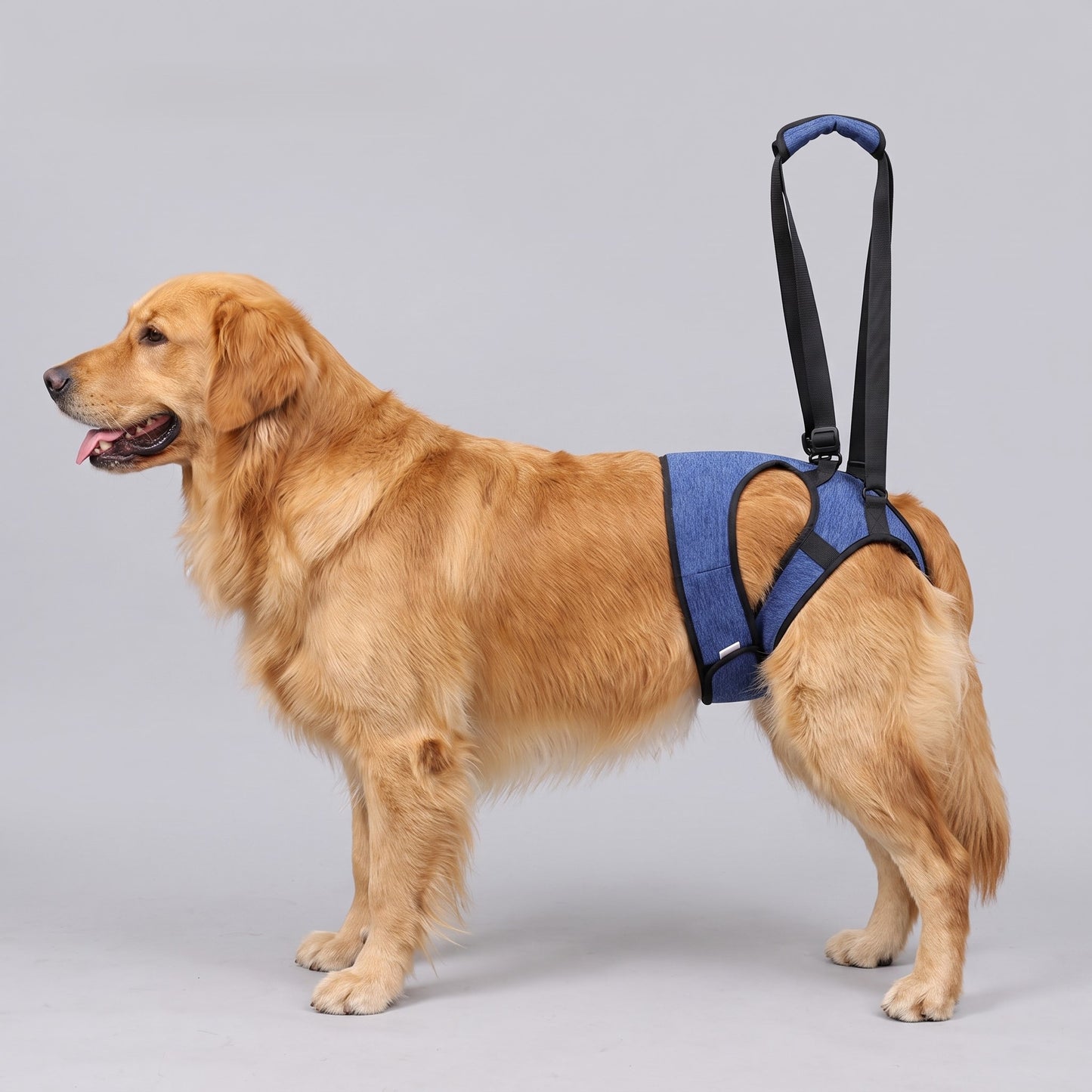 NUGGAL Anti-Slip Dog Hind Leg Lift Harness & Recovery Sling with Corset Design