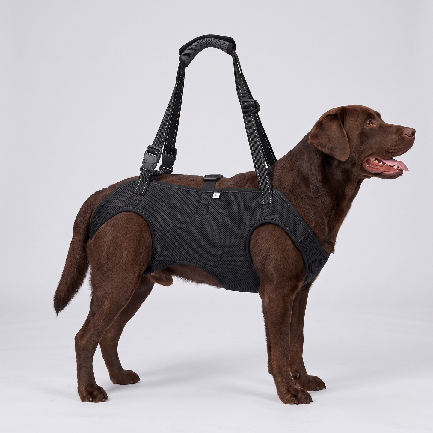 NUGGAL Full-Body Dog Lift Harness & Support Sling for Elderly and Disabled Pets