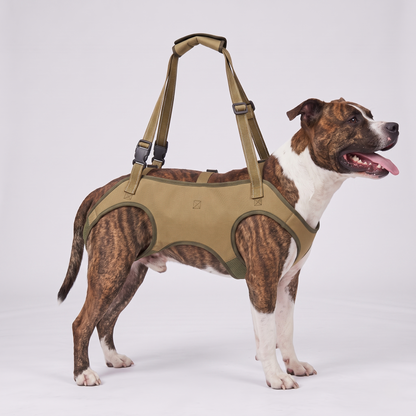 NUGGAL Full-Body Dog Lift Harness & Support Sling for Elderly and Disabled Pets