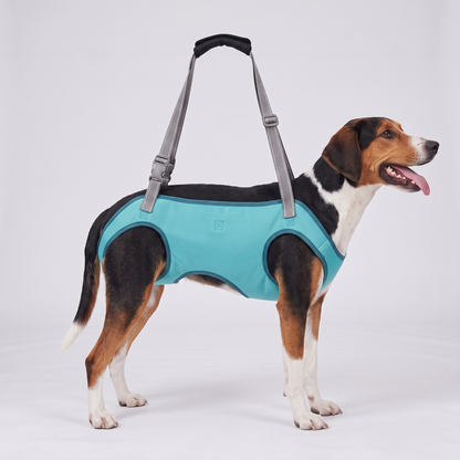 NUGGAL Full-Body Dog Lift Harness & Support Sling for Elderly and Disabled Pets
