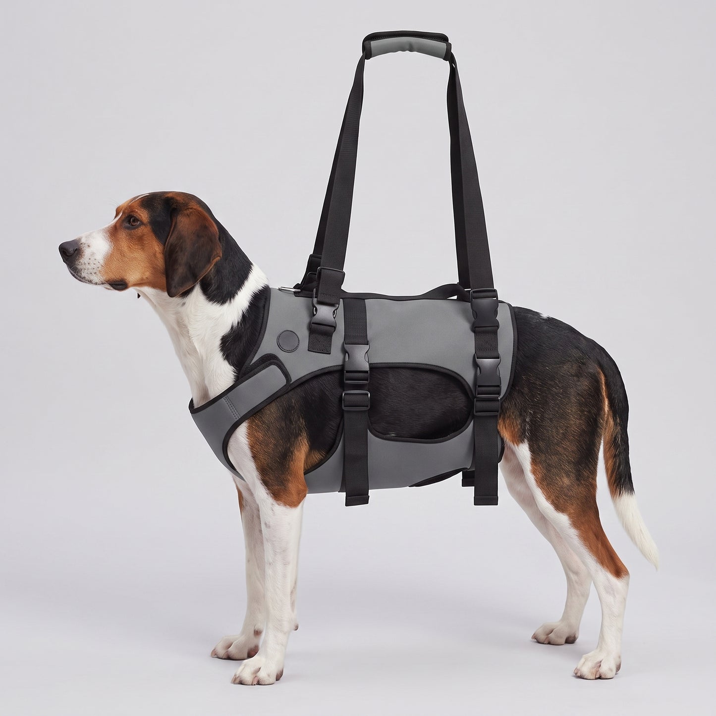 NUGGAL Front-Body Dog Lift Harness & Support Sling – Adjustable Recovery Aid for Elderly Dogs, Arthritis & Leg Support