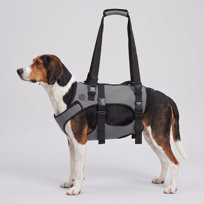 NUGGAL Front-Body Dog Lift Harness & Support Sling – Adjustable Recovery Aid for Elderly Dogs, Arthritis & Leg Support