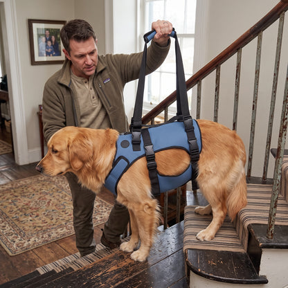 NUGGAL Front-Body Dog Lift Harness & Support Sling – Adjustable Recovery Aid for Elderly Dogs, Arthritis & Leg Support