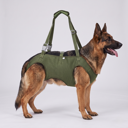 NUGGAL Full-Body Dog Lift Harness & Support Sling for Elderly and Disabled Pets