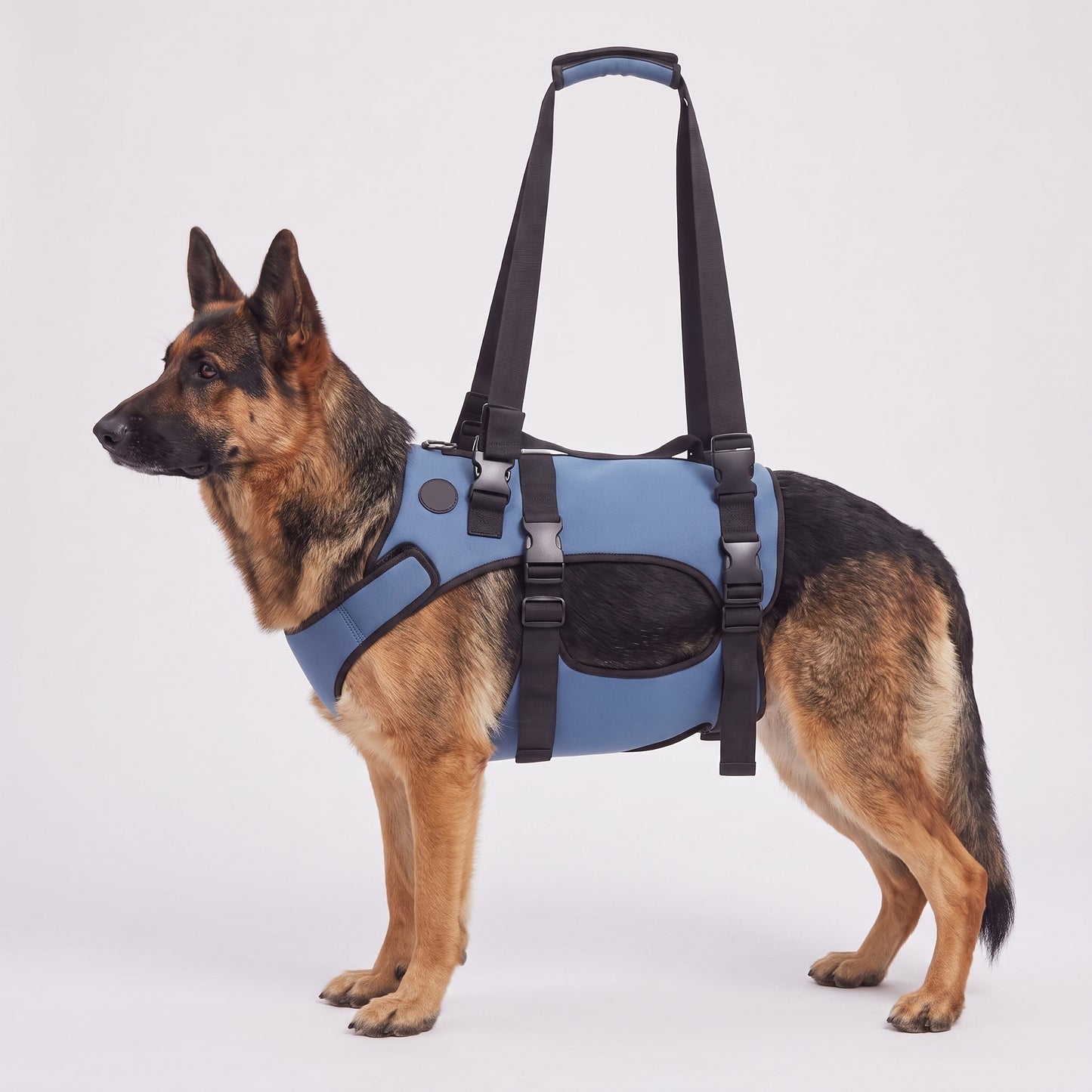NUGGAL Front-Body Dog Lift Harness & Support Sling – Adjustable Recovery Aid for Elderly Dogs, Arthritis & Leg Support