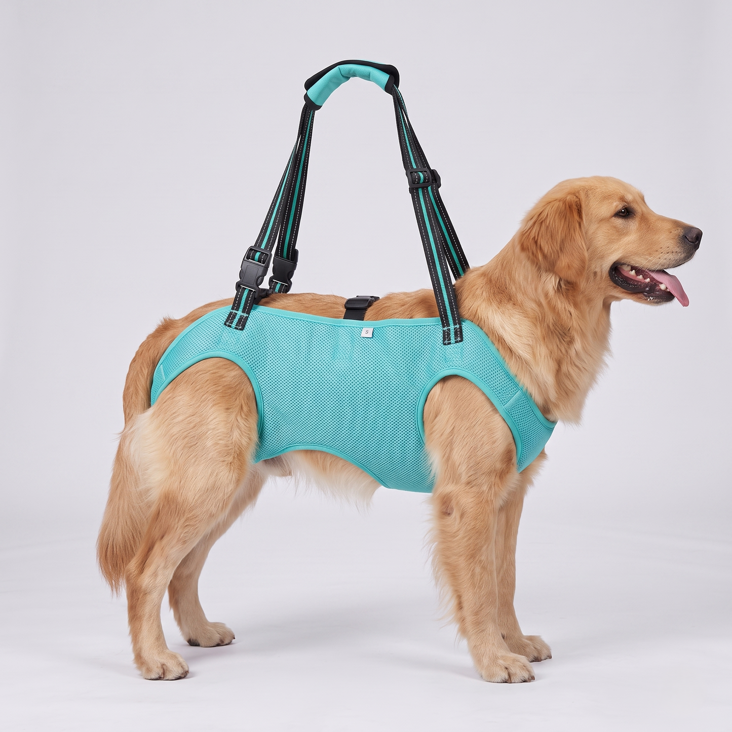 NUGGAL Full-Body Dog Lift Harness & Support Sling for Elderly and Disabled Pets