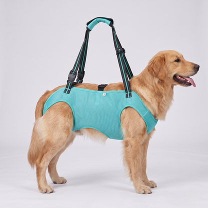 NUGGAL Full-Body Dog Lift Harness & Support Sling for Elderly and Disabled Pets