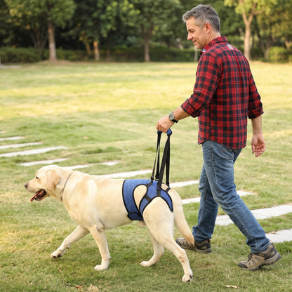 NUGGAL Anti-Slip Dog Hind Leg Lift Harness & Recovery Sling with Corset Design