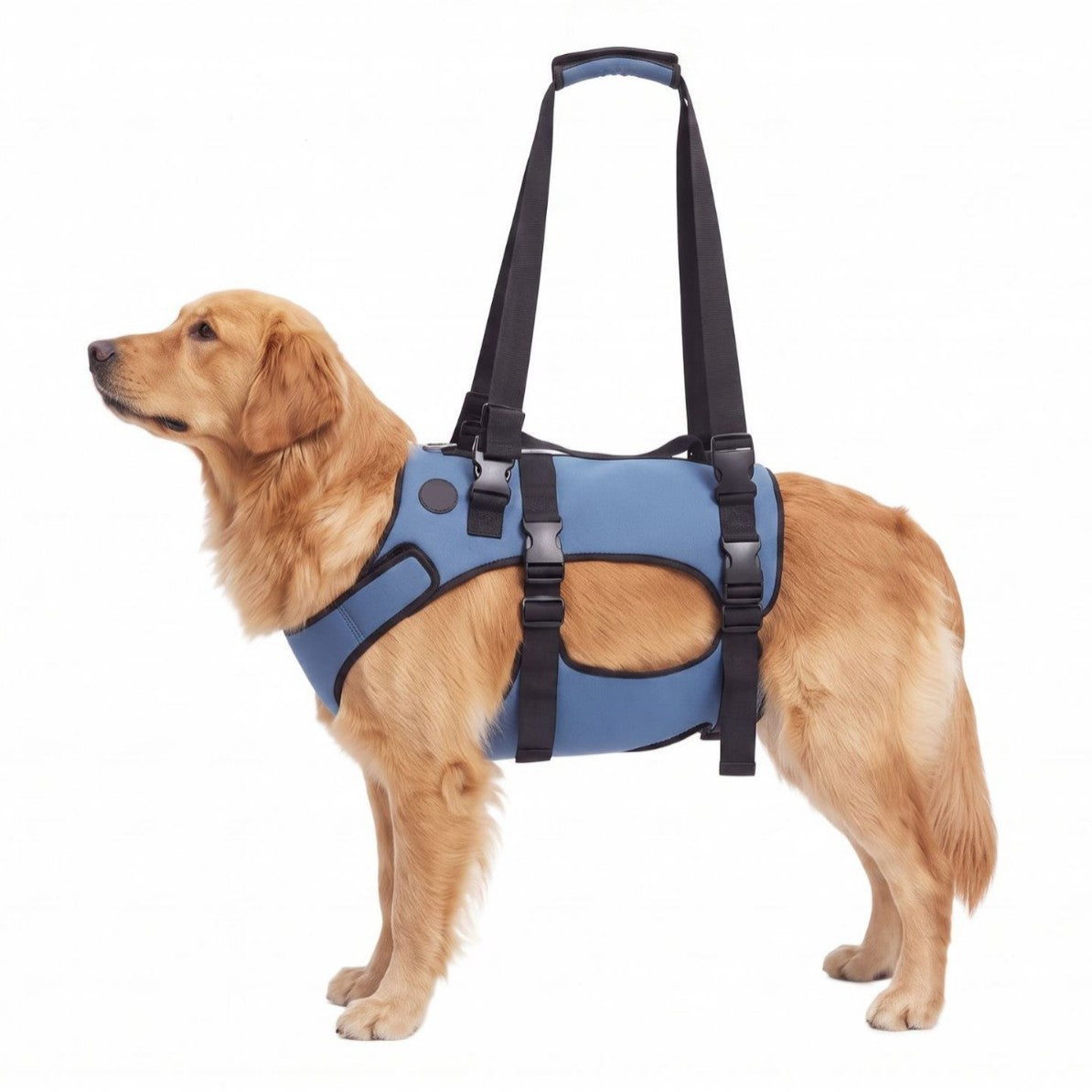 NUGGAL Front-Body Dog Lift Harness & Support Sling – Adjustable Recovery Aid for Elderly Dogs, Arthritis & Leg Support