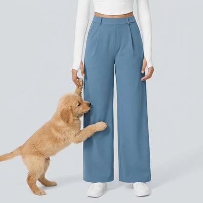 NUGGAL Lint-Free & Pet Resistant Pleated Pants