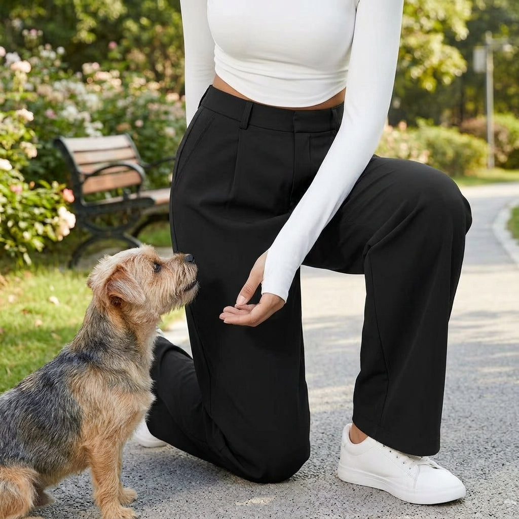 NUGGAL Lint-Free & Pet Resistant Pleated Pants