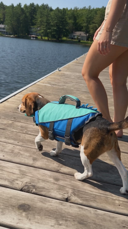 NUGGAL Dog Life Jacket for Summer – High Buoyancy Pet Safety Vest with Detachable Neck Float & Rescue Handle