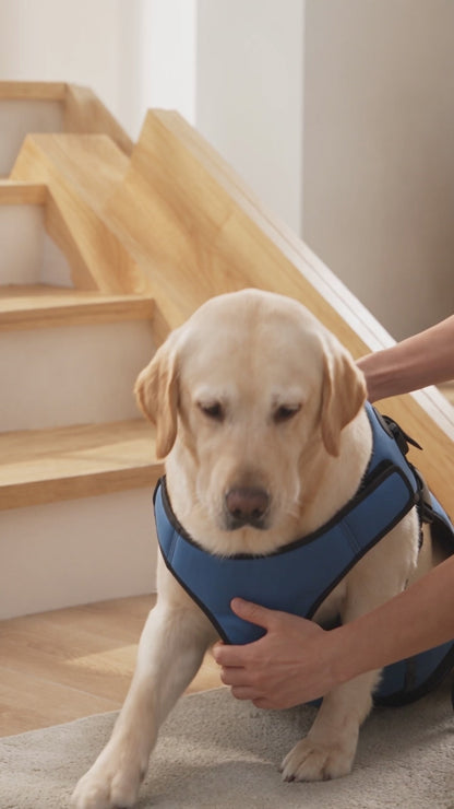 NUGGAL Front-Body Dog Lift Harness & Support Sling – Adjustable Recovery Aid for Elderly Dogs, Arthritis & Leg Support