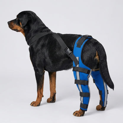 NUGGAL Premium Canine Rear Leg Brace with Reflective Straps & Anti-Slip Harness